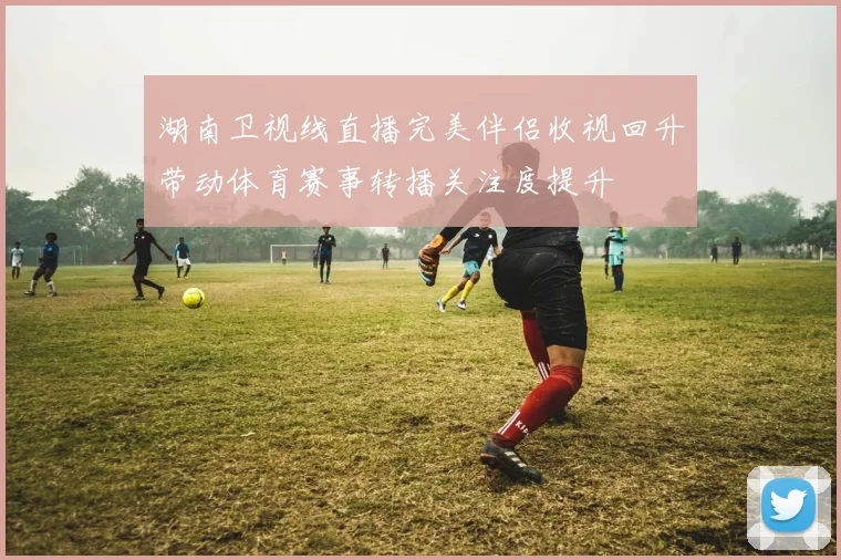湖南卫视线直播完美伴侣收视回升带动体育赛事转播关注度提升