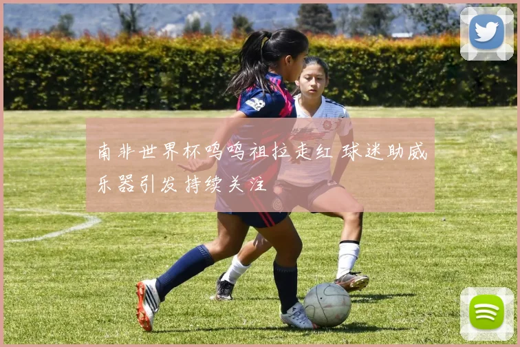 南非世界杯呜呜祖拉走红 球迷助威乐器引发持续关注